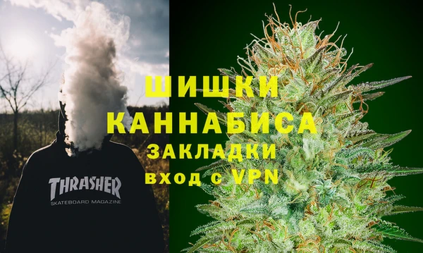 сатива Белокуриха