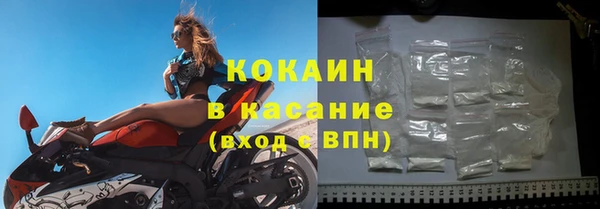 сатива Белокуриха