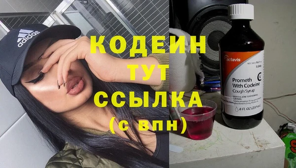 сатива Белокуриха