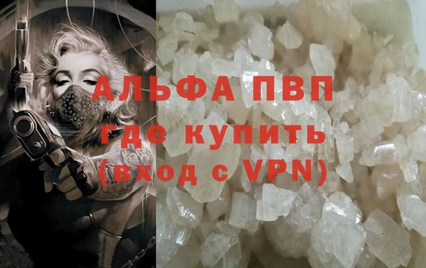 сатива Белокуриха