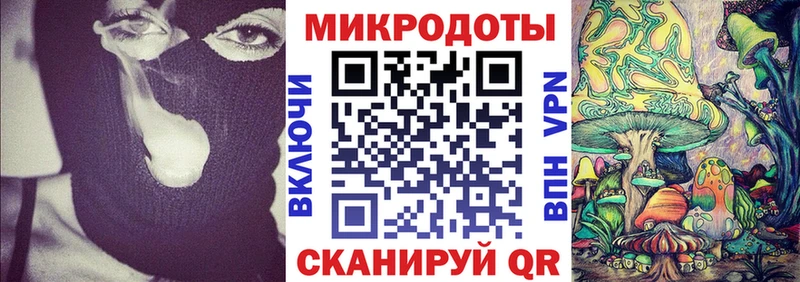 Галлюциногенные грибы Psilocybine cubensis Мытищи