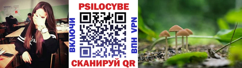 нарко площадка какой сайт  закладки  Мытищи  Галлюциногенные грибы GOLDEN TEACHER 